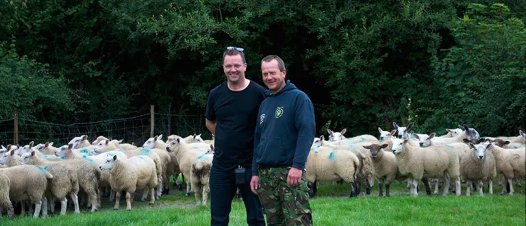 Rob Brady and a farmer standing in front of a herd of sheep.