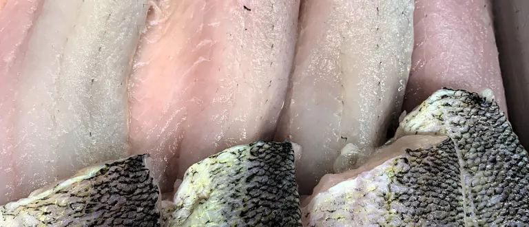 Twelve skin-on pickerel fillets in a tray